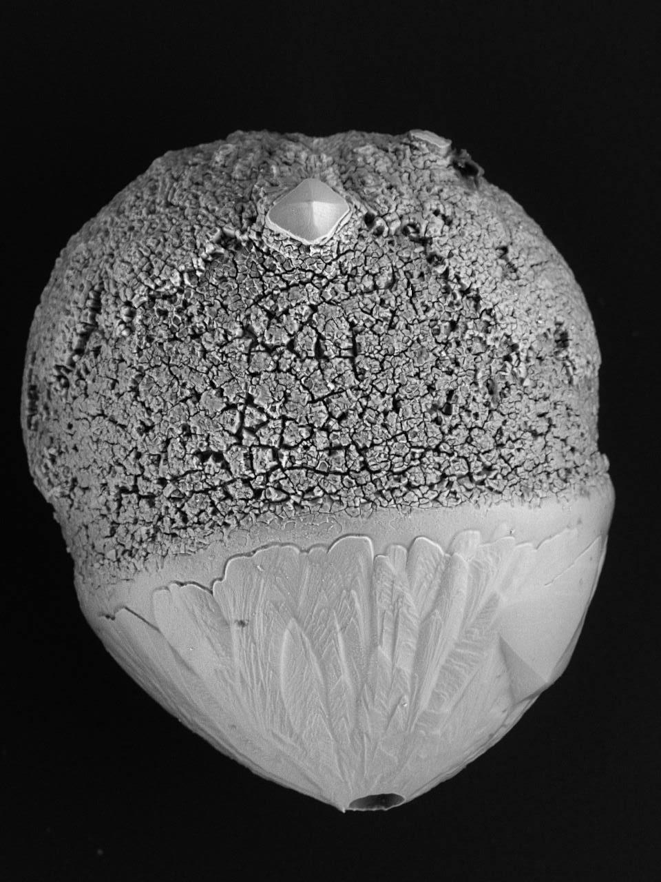 Electronenmicroscoop foto van micrometeoriet GMM82 uit de collectie van Guido Jonker.