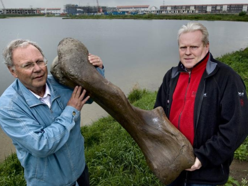 Anton Verhagen (l) en Dick Mol met het opperarmbeen van een mammoet